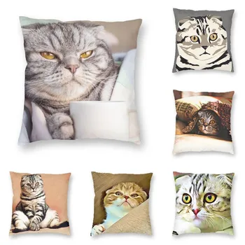 Современный серый шотландский вислоухий домашний домашний диван для кошек мягкий лежит на кровати с наволочкой для кофейной чашки для спальни