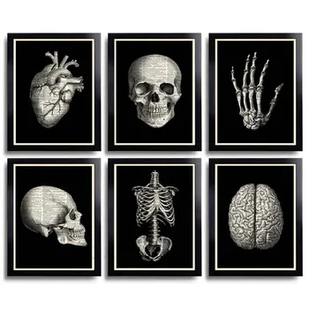 Винтажный анатомический плакат с принтом черепа Анатомия Холст Картины Настенное искусство Череп Художественный принт Подарок для гостиной Дом Безрамный