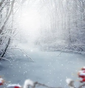 зимний лес рождественская снежная елка стоковые дорожные фоны Высококачественная компьютерная печать свадебные фоны