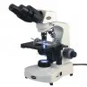 Бинокулярный компаундный микроскоп Зидентопфа--AmScope поставляет бинокулярный компаундный микроскоп Зидентопфа 40X-2000X