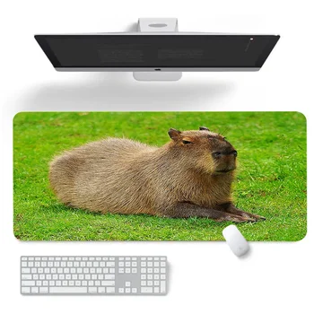 Capybara Коврик для мыши Xxl Коврик для мыши Бесплатная доставка Настольный коврик Компьютерные столы Клавиатура Игровые коврики Аксессуары для ПК Геймер Настольный коврик Kawaii