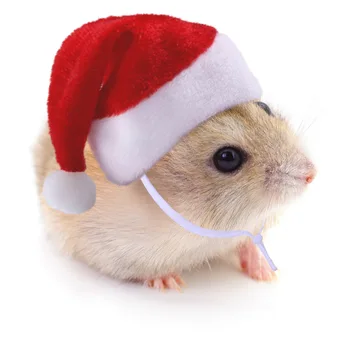 Рождественская шапочка хомяка для мелких животных Шапочка Санта-Клауса Кролик Хомяк Морская свинка Крысы Товары для домашних животных